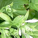  , , 58  -  25  2015     - 