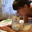 ���� ���������, ������, 36 ��� - ��������� 10 ����� 2015 � ������ ���� ����������