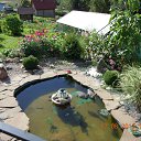 ���� ���, �������, 63 ���� - ��������� 25 ������ 2015