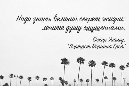 Жизнь лечит. Лечите душу ощущениями Оскар Уайльд. Надо знать этот Великий секрет жизни лечите душу ощущениями. Лечите душу ощущениями а ощущения пусть врачует душа. Лечите душу ощущениями Оскар Уайльд цитата.