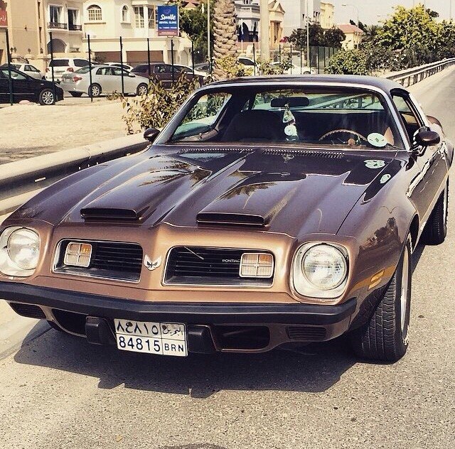 Pontiac Firebird - 7
