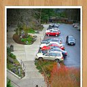 ������ �� ������� ���� ����������