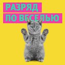 ���� ���������, ���� - ��������� 4 ������ 2015 � ������ ������� �� ��������