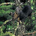 ���� ��������, �����������, 48 ��� - ��������� 8 ����� 2015 � ������ ������ ��������