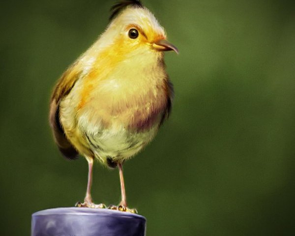  Angry Birds   - 7
