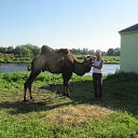 ���� �����, �����, 59 ��� - ��������� 27 ������� 2015