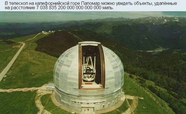    - 7