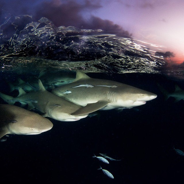   National Geographic - 17