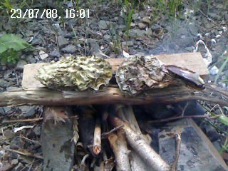 ���� �������, ���������, 54 ���� - ��������� 26 ������ 2015