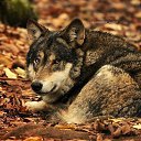 ���� ��������, ������ - ��������� 16 ������ 2015 � ������ ������ ��������