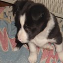 ���� �����, ��������, 51 ��� - ��������� 21 ����� 2015 � ������ ������ ��������