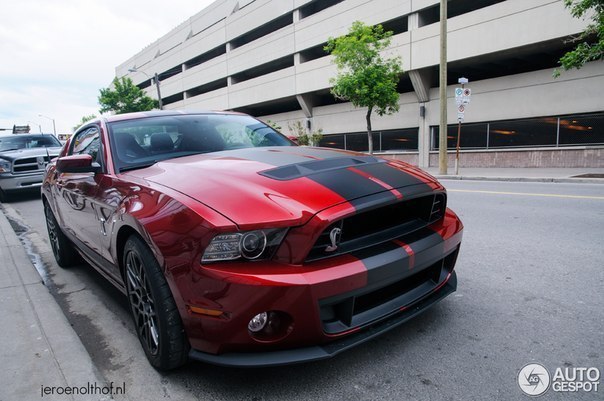 Ford Mustang Shelby GT500 - 2