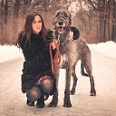   (Paolo Genua),  -  22  2015    