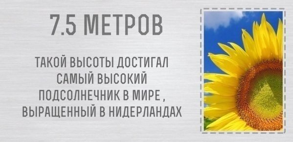   - 4