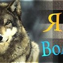 ���� ���������, �����, 48 ��� - ��������� 27 ������� 2014 � ������ ����Ȼ