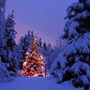 ���� ������, �����������, 57 ��� - ��������� 27 ������� 2014 � ������ ������ ��������