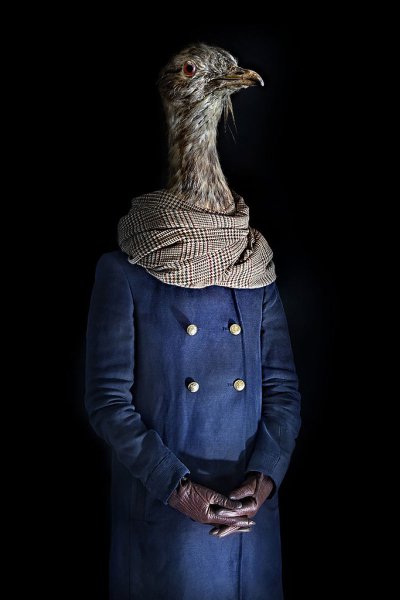     .     (Miguel Vallinas)  ... - 10