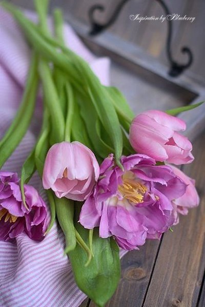 Улыбнись Жизни, и она обязательно улыбнется тебе в ответ!!! - 2
