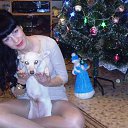 ���� I, ���������, 37 ��� - ��������� 31 ������� 2014