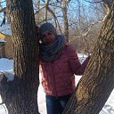 ���� �������, ����-����������� - ��������� 8 ������� 2015 � ������ ���� ����������