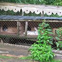 ���� ������, �����, 67 ��� - ��������� 8 ����� 2015 � ������ ���������������� ����� � �������