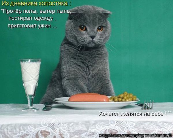  - 7  2015  22:50