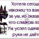 ���� �����, �����-���������, 50 ��� - ��������� 14 ����� 2015 � ������ ������ ��������