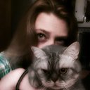 ���� ���, ������ - ��������� 29 ����� 2015 � ������ ���� ����������