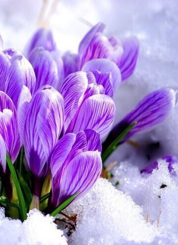 , ,  - 10  2015  12:46