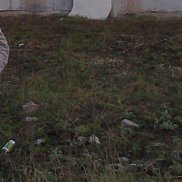 , 42 , 