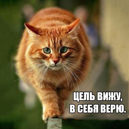       - 9  2015  16:02