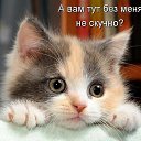 ���� �������, ����������� - ��������� 17 ����� 2015 � ������ �����