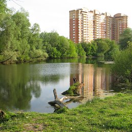 ���� ����� �����, �����, 65 ��� - ��������� 19 ������ 2015