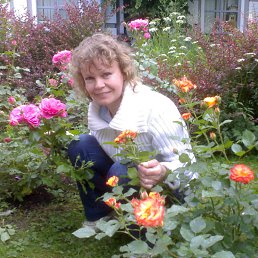 ���� Marni, ������, 62 ���� - ��������� 9 ����� 2015