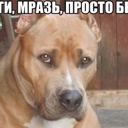 ��������, ��������, 46 ���