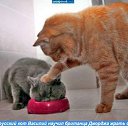 ���� Nik, ���, 65 ��� - ��������� 13 ������ 2015 � ������ ������ ��������