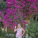 ���� �����, ������ ��������, 55 ��� - ��������� 4 ������ 2015 � ������ ���� ����������