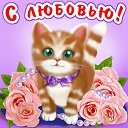 ���� �������***, ������� - ��������� 27 ����� 2015 � ������ �������� ��������