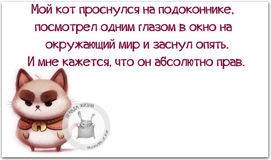 Правда Жизни - 6 марта 2015 в 17:13