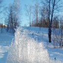  , , 63  -  5  2015     .