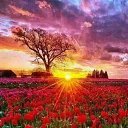 ���� �����, ��������� - ��������� 25 ������� 2015 � ������ ������ ��������