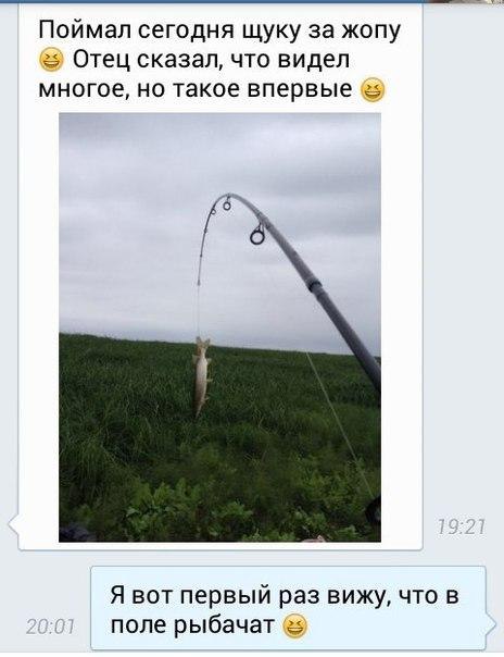   ,  : <a href=
