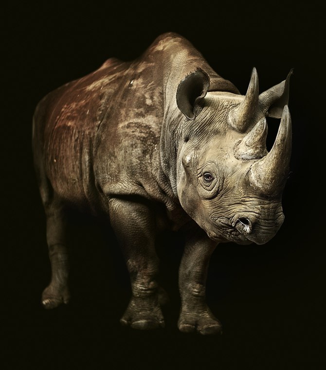  John Wilhelm - 7