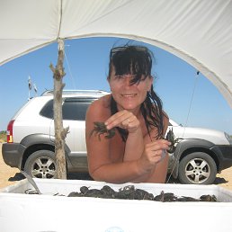 �������, ����, 50 ���