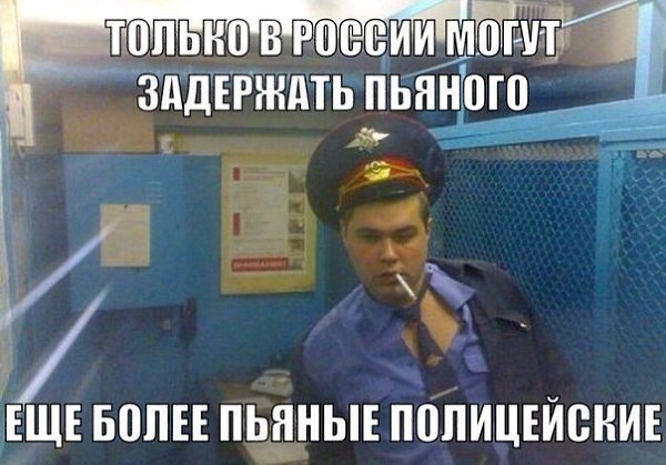  - 13  2015  12:04