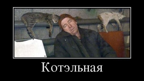   ,  : <a href=