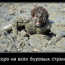 ���� �����, ��������, 47 ��� - ��������� 13 ����� 2015 � ������ ���� ����������