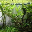 ���� V�������, ��������� - ��������� 4 ����� 2015 � ������ �������