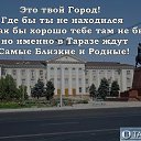 ���� �����, �����, 41 ��� - ��������� 14 ������ 2015 � ������ ���� ����������