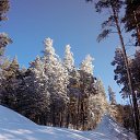   ,  .   - 18-20  2015 .